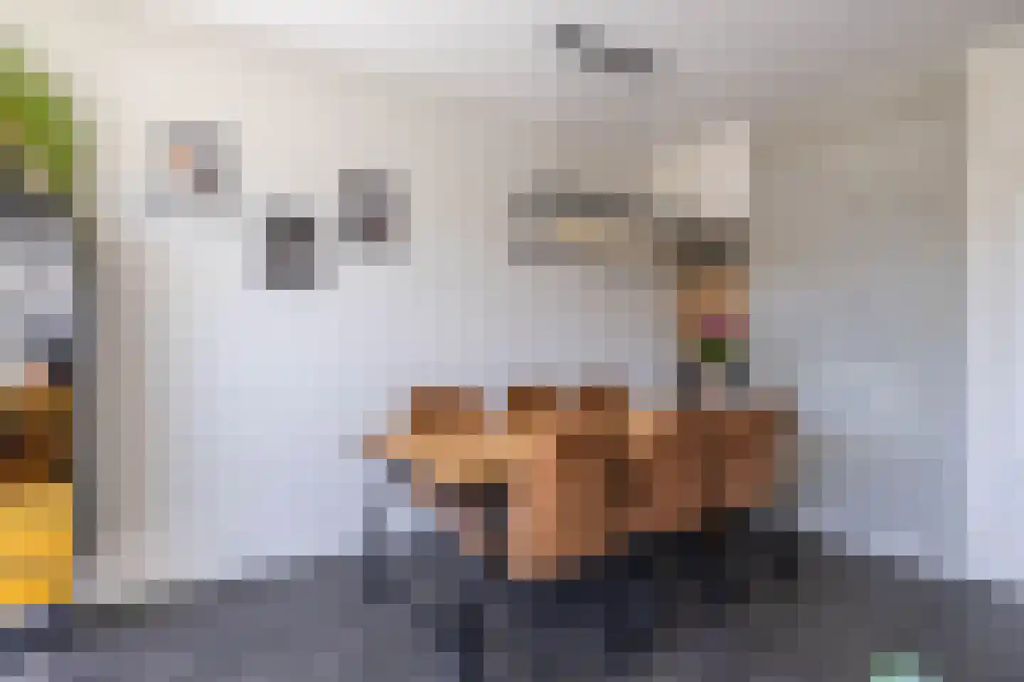 de Jokse 75 Leeuwarden thumbnail 22