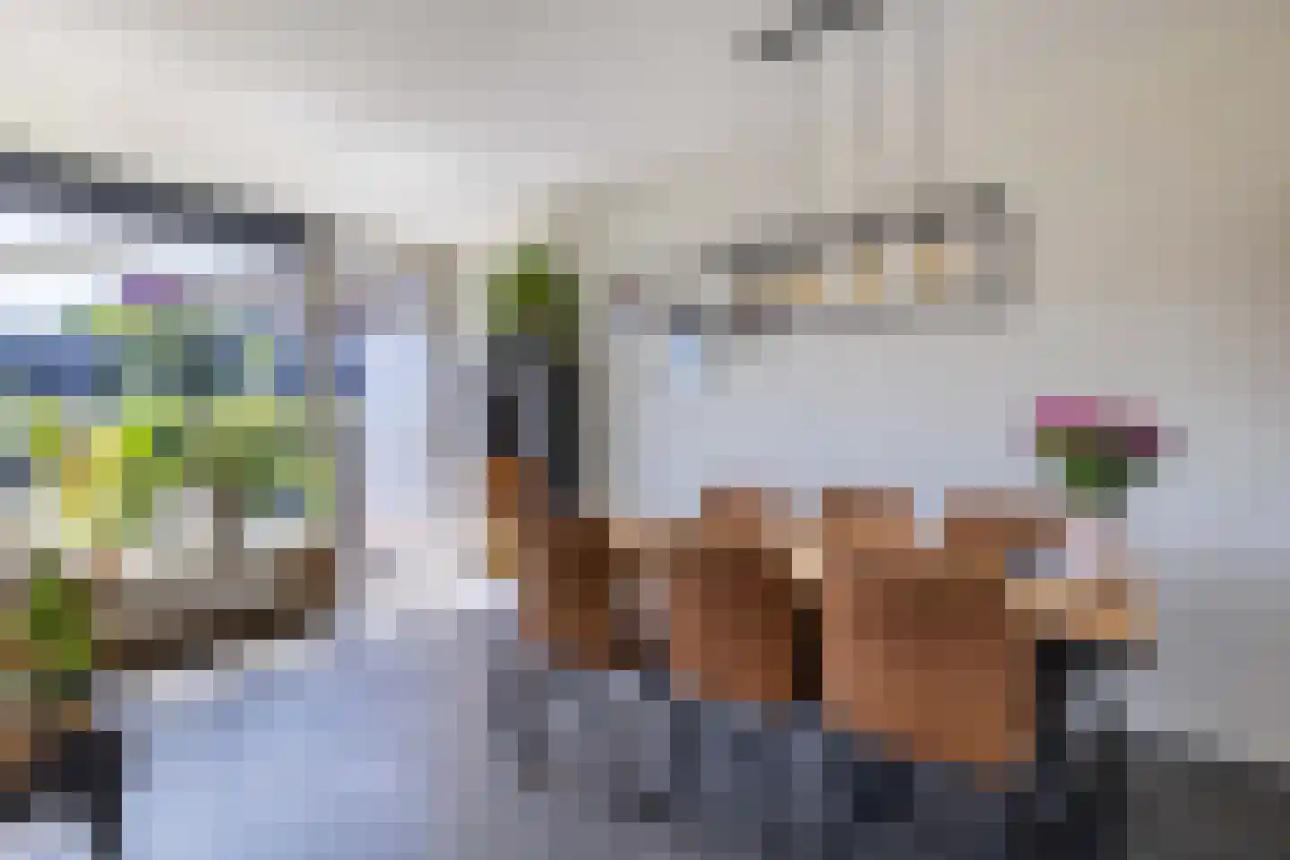 de Jokse 75 Leeuwarden thumbnail 23