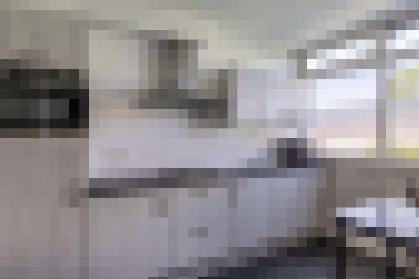 de Jokse 75 Leeuwarden thumbnail 24