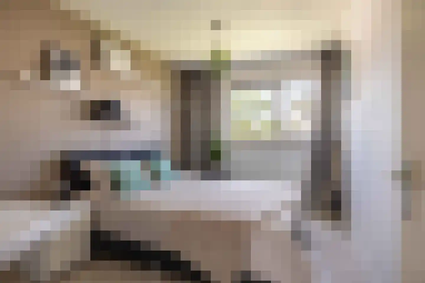 de Jokse 75 Leeuwarden thumbnail 30