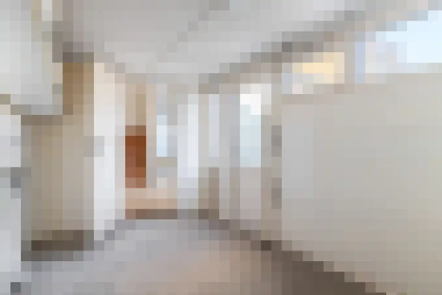 De Jol 1 Grou thumbnail 8