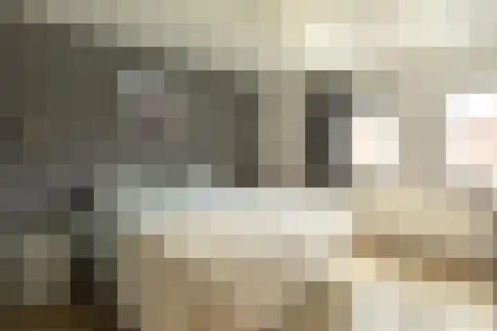 de Jol 6 Baarn thumbnail 17