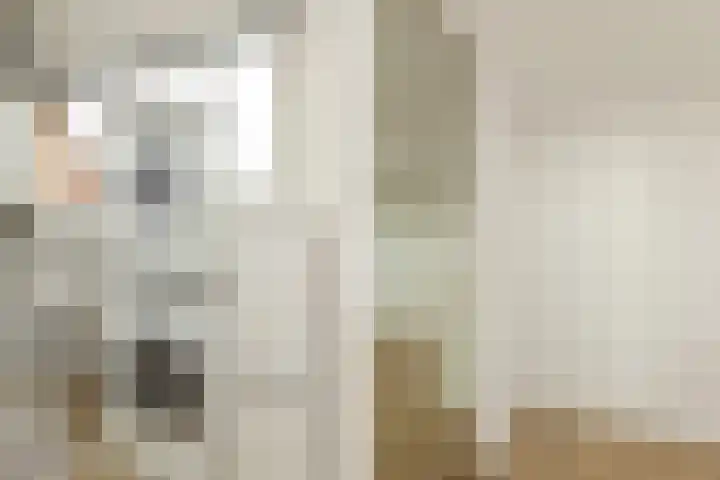 de Jol 6 Baarn thumbnail 20