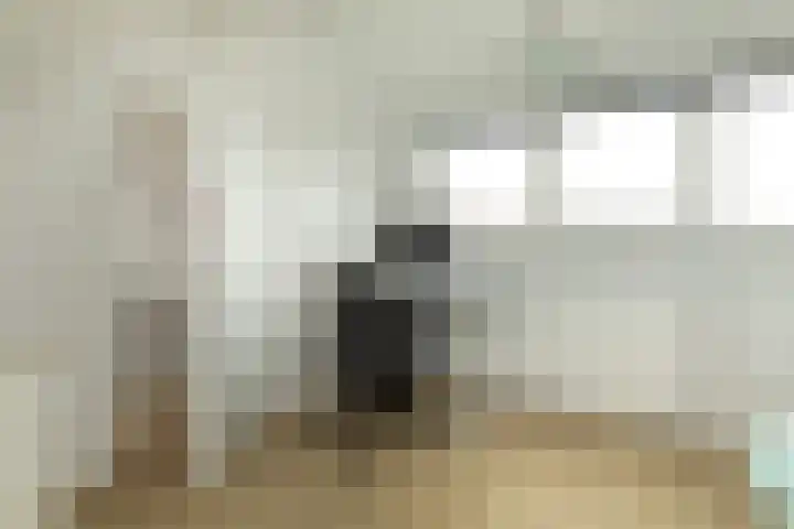 de Jol 6 Baarn thumbnail 22
