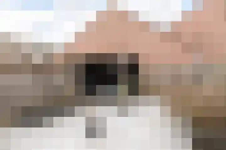 de Jol 6 Baarn thumbnail 23