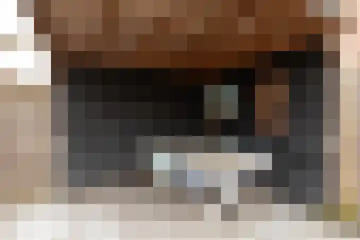 de Jol 6 Baarn thumbnail 24