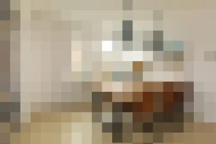 de Jol 6 Baarn thumbnail 8