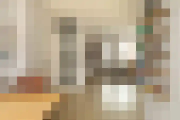 de Jol 6 Baarn thumbnail 9