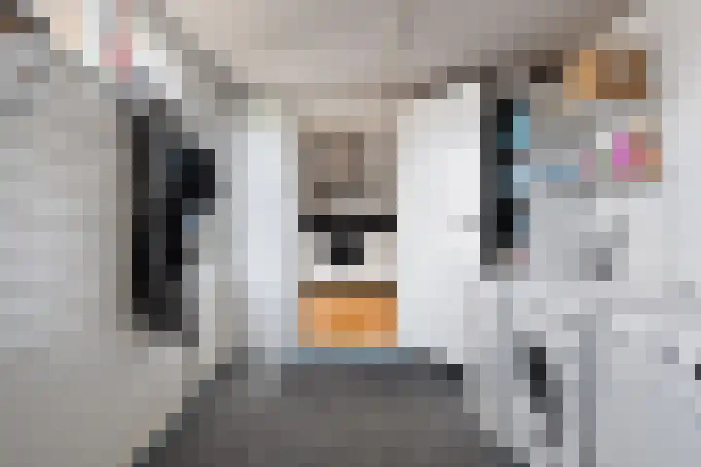 De Jol 7 Grou thumbnail 12