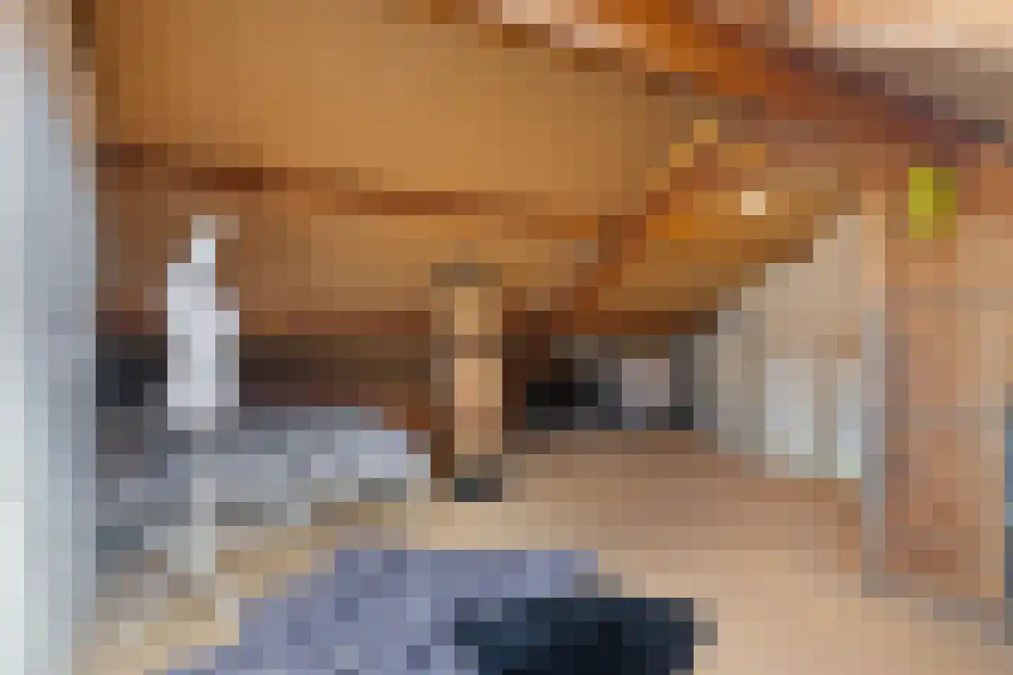 De Jol 7 Grou thumbnail 31