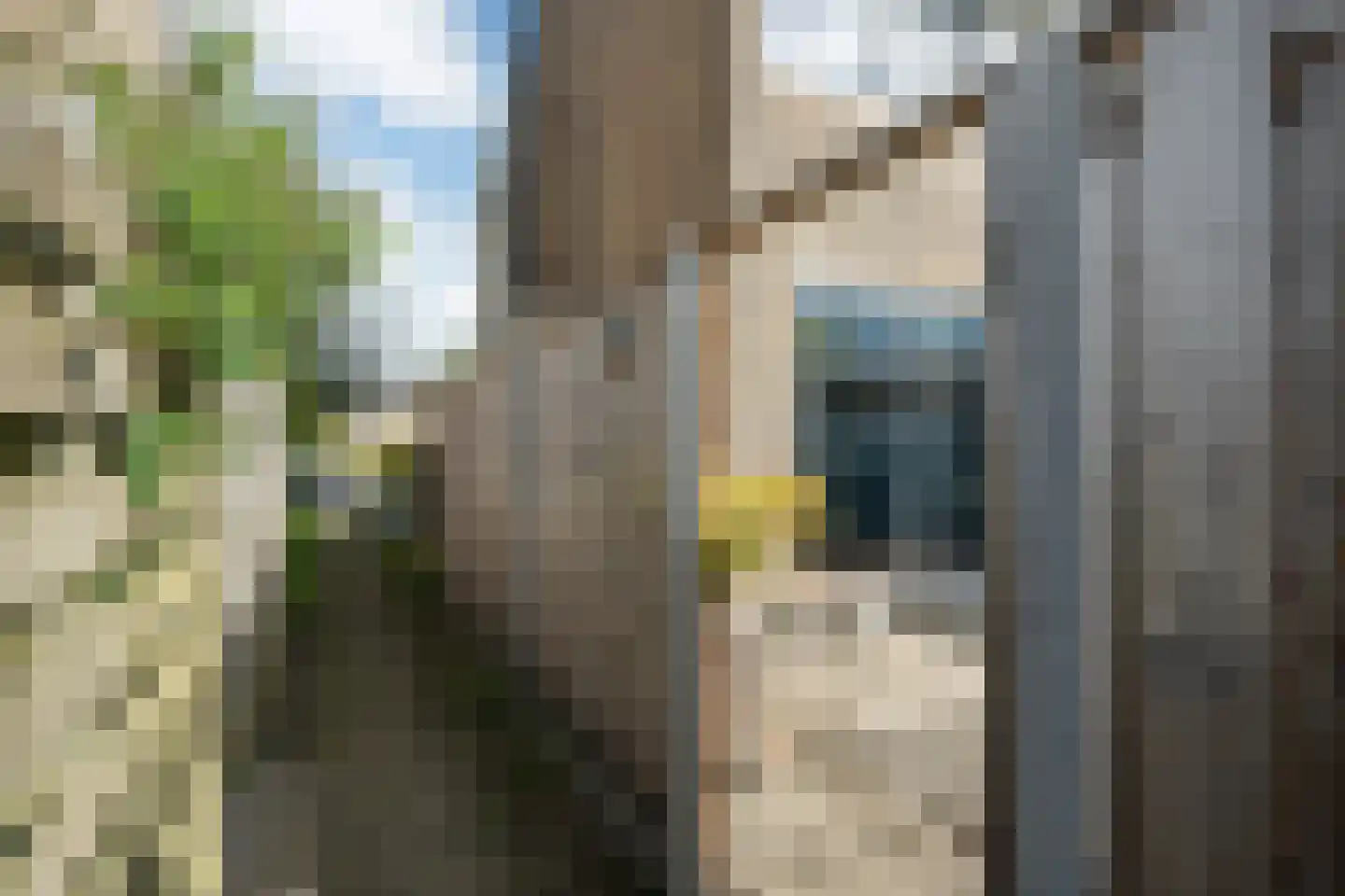 De Jol 7 Grou thumbnail 38