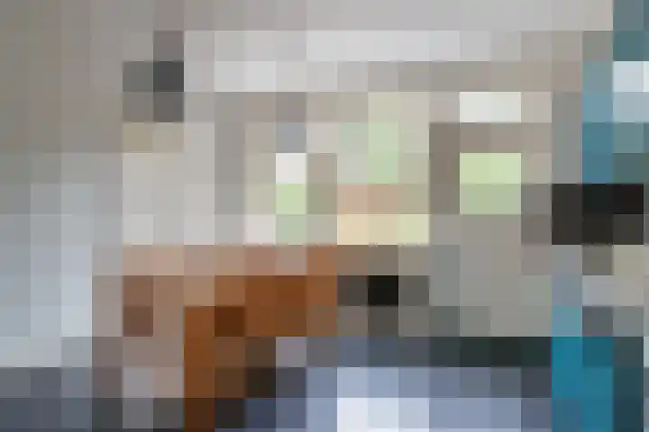 de Joncheerelaan 1 Harmelen thumbnail 10