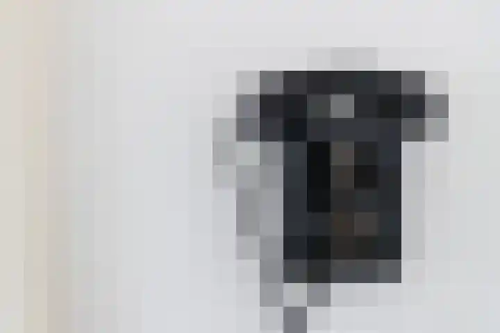 de Joncheerelaan 1 Harmelen thumbnail 15