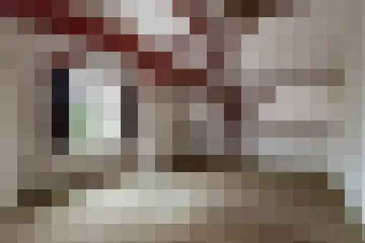 de Joncheerelaan 1 Harmelen thumbnail 17