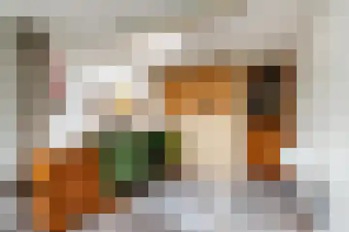 de Joncheerelaan 1 Harmelen thumbnail 25