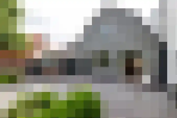 de Joncheerelaan 1 Harmelen thumbnail 26