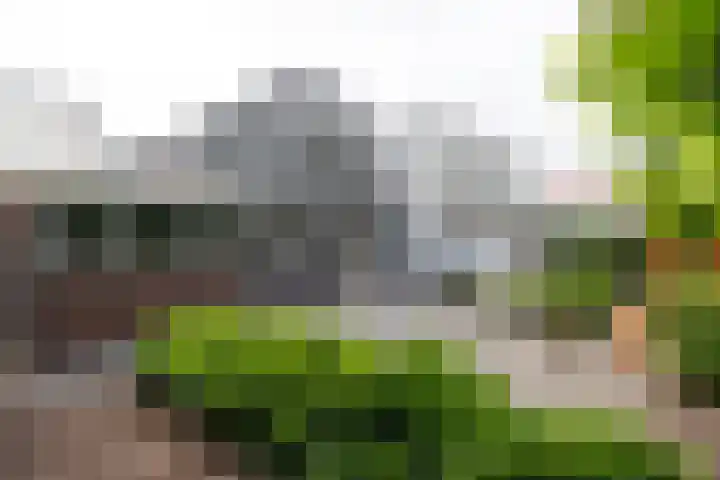de Joncheerelaan 1 Harmelen thumbnail 27