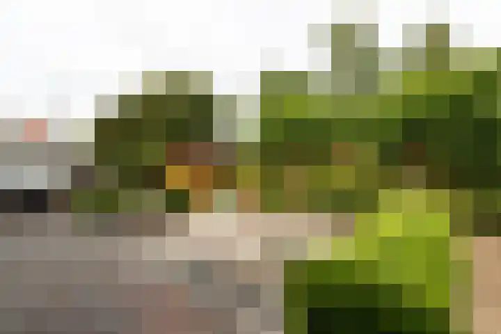 de Joncheerelaan 1 Harmelen thumbnail 28