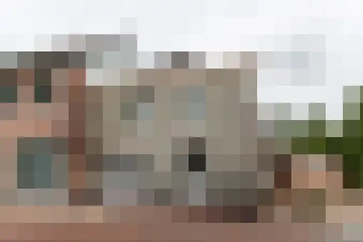de Joncheerelaan 1 Harmelen thumbnail 29