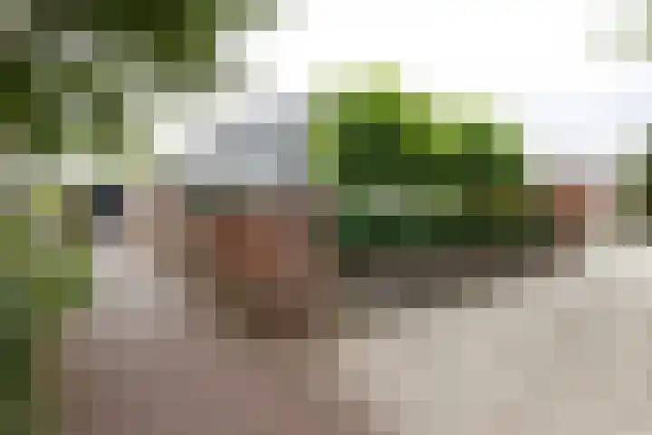 de Joncheerelaan 1 Harmelen thumbnail 31