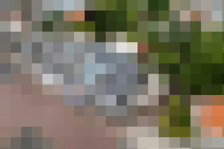 de Joncheerelaan 1 Harmelen thumbnail 32