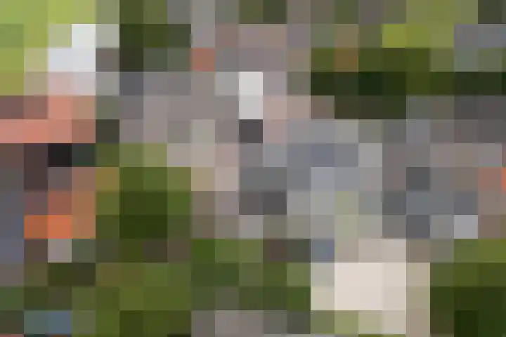 de Joncheerelaan 1 Harmelen thumbnail 33