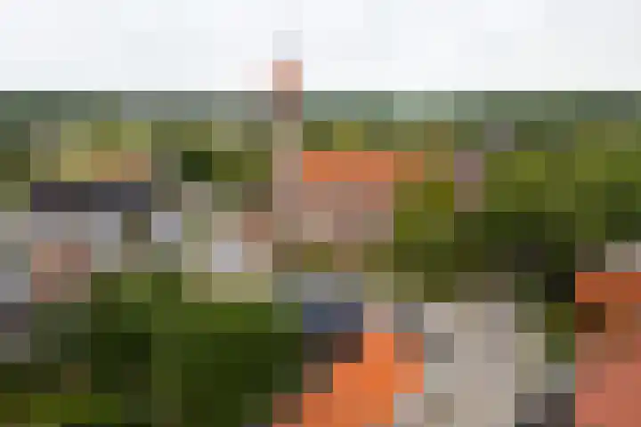 de Joncheerelaan 1 Harmelen thumbnail 34