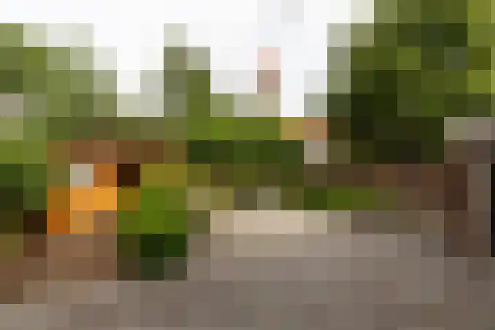 de Joncheerelaan 1 Harmelen thumbnail 4
