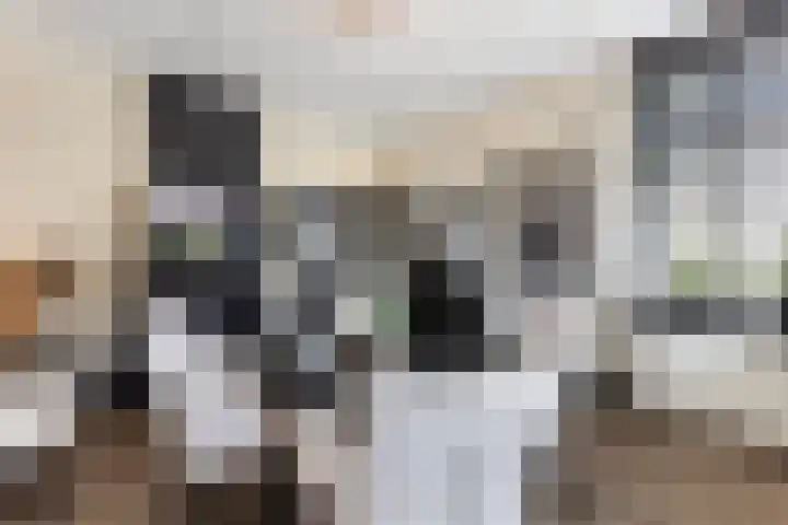 de Joncheerelaan 10 Nijverdal thumbnail 10