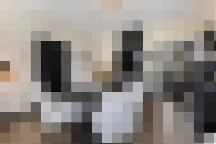 de Joncheerelaan 10 Nijverdal thumbnail 11