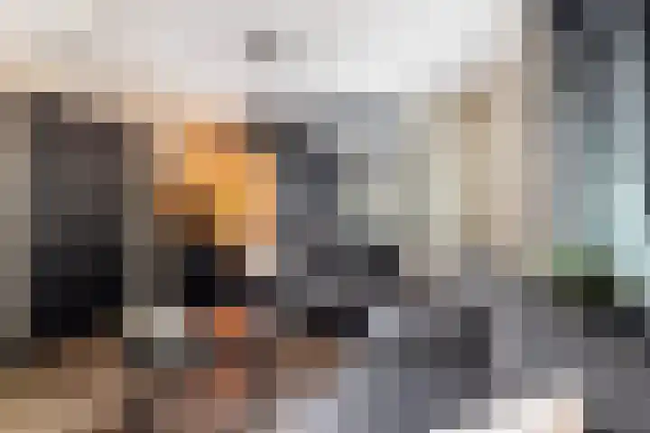 de Joncheerelaan 10 Nijverdal thumbnail 12