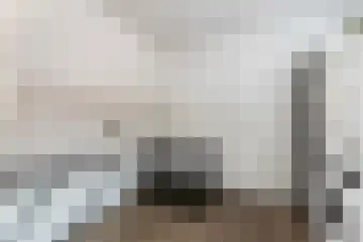 de Joncheerelaan 10 Nijverdal thumbnail 18