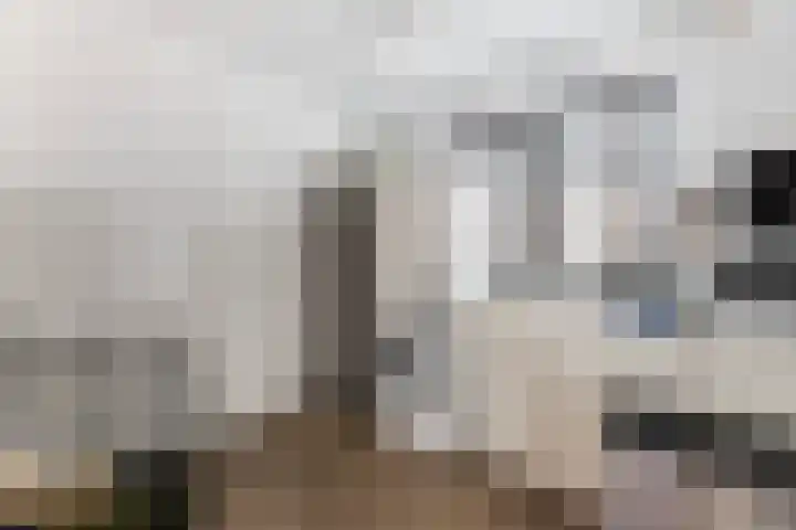 de Joncheerelaan 10 Nijverdal thumbnail 19