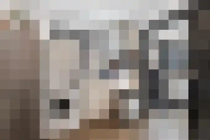 de Joncheerelaan 10 Nijverdal thumbnail 20