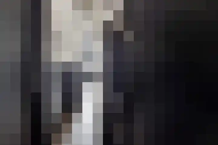 de Joncheerelaan 10 Nijverdal thumbnail 21