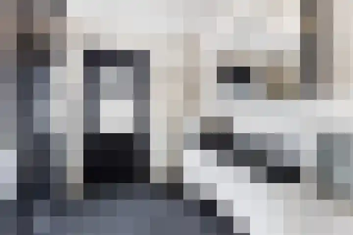 de Joncheerelaan 10 Nijverdal thumbnail 23
