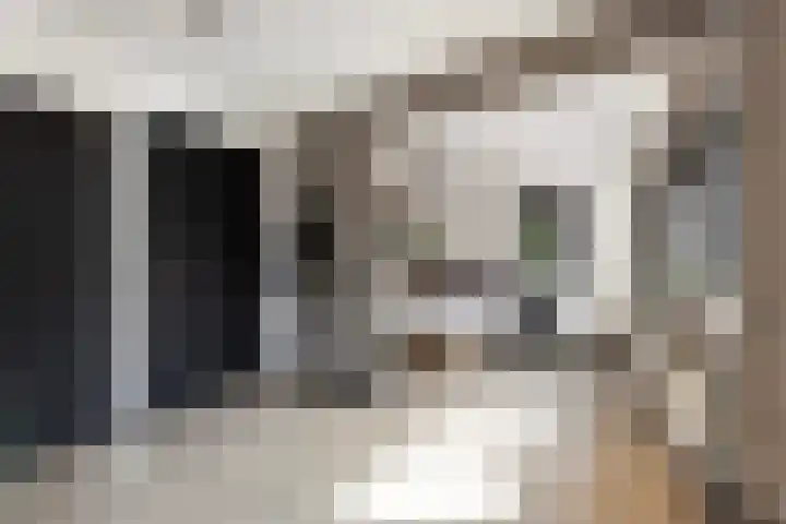 de Joncheerelaan 10 Nijverdal thumbnail 29