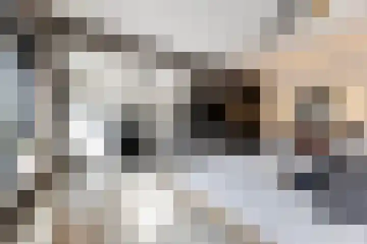 de Joncheerelaan 10 Nijverdal thumbnail 30