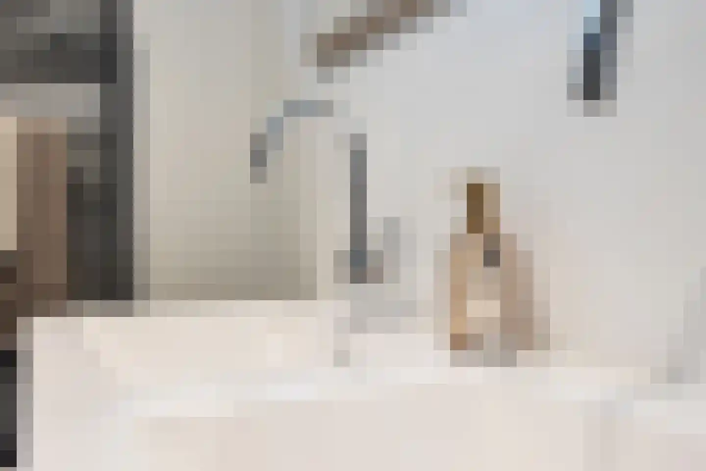 de Joncheerelaan 10 Nijverdal thumbnail 32
