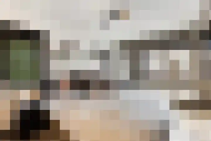 de Joncheerelaan 10 Nijverdal thumbnail 32