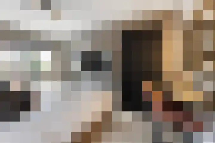 de Joncheerelaan 10 Nijverdal thumbnail 33