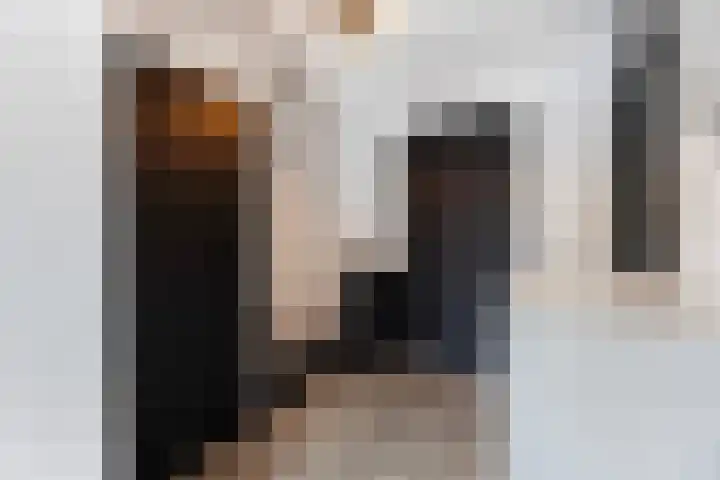 de Joncheerelaan 10 Nijverdal thumbnail 35
