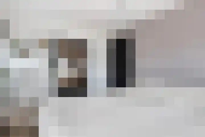 de Joncheerelaan 10 Nijverdal thumbnail 38