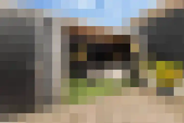 de Joncheerelaan 10 Nijverdal thumbnail 40