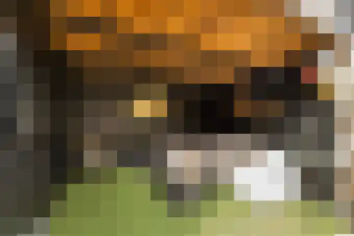 de Joncheerelaan 10 Nijverdal thumbnail 41