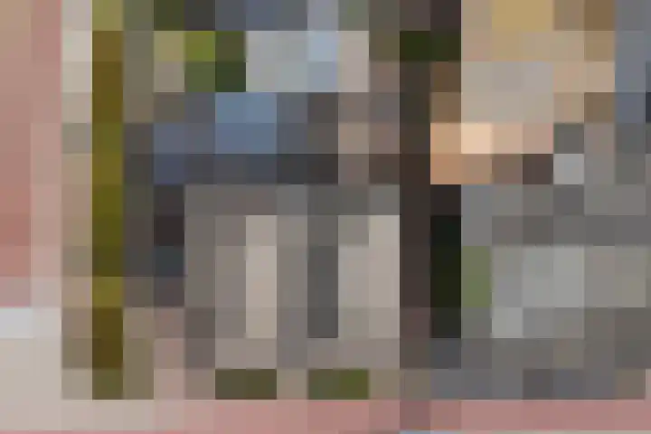 de Joncheerelaan 10 Nijverdal thumbnail 48