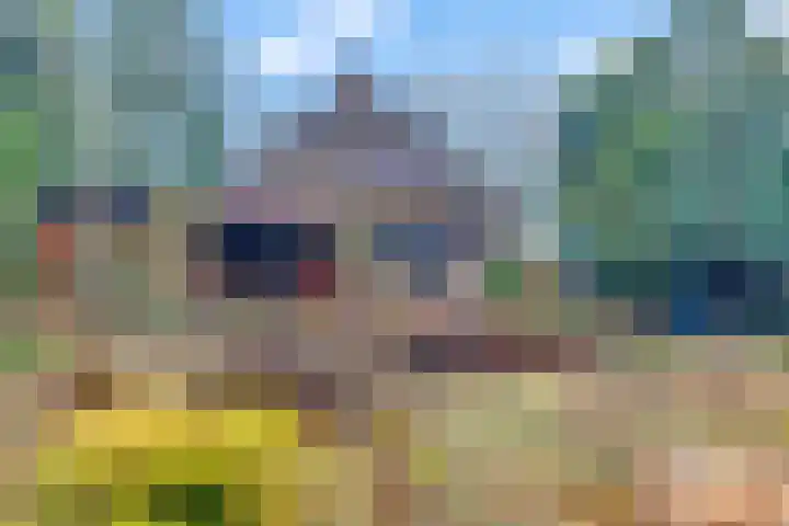 de Joncheerelaan 107 Nijverdal thumbnail 24