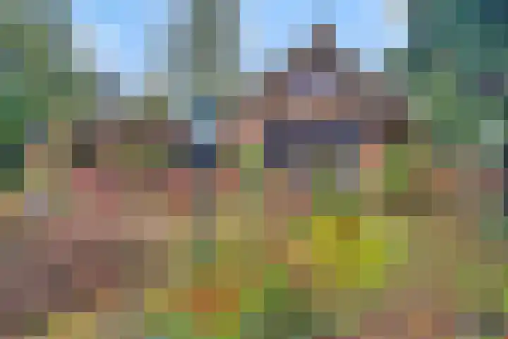 de Joncheerelaan 107 Nijverdal thumbnail 25
