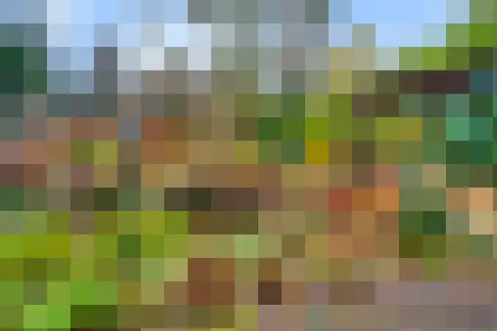 de Joncheerelaan 107 Nijverdal thumbnail 27