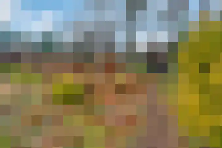 de Joncheerelaan 107 Nijverdal thumbnail 29